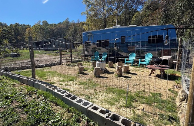 Glamping with your fur babies by Red River Gorge and Natural Bridge.