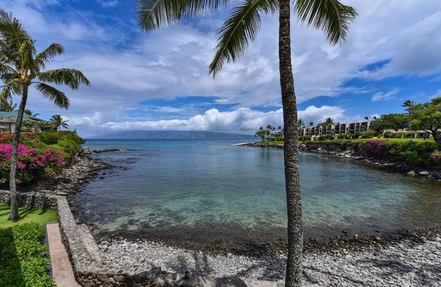 Gorgeous condo #203 View of Honokeana Cove