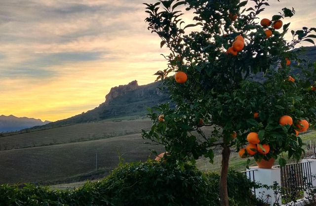 Gorgeous guest suite on a working vineyard with spectacular views