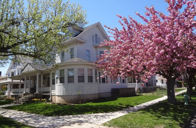 Great Apartment - Walk To The Beach