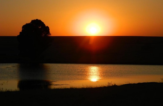 Green Thumb Farm Stay 2