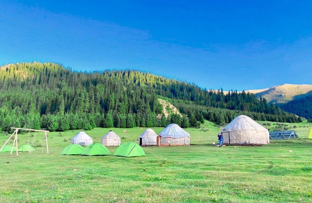 Green Yurt Camp