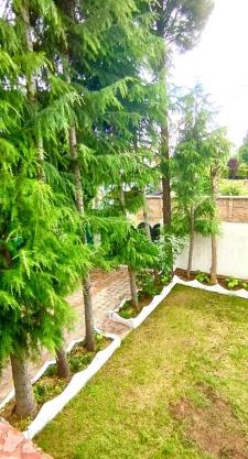 Greenoriva - D2 - Greenery & Peace