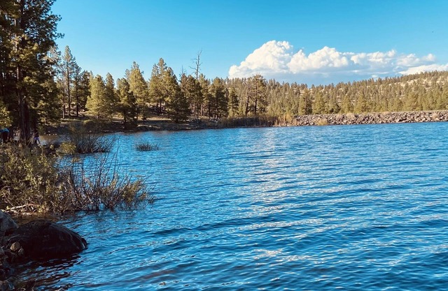 Greer "Mountain Vista" #4 @ Antler Ridge Cabins