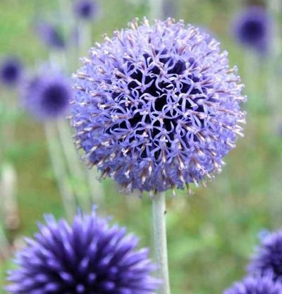 GRUISSAN, Studio Cabine, Au Calme VUE DÉGAGÉE SUR MARINA