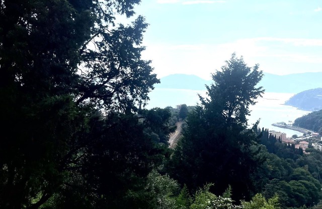 Guest House 'Villa Picedi' with Sea View