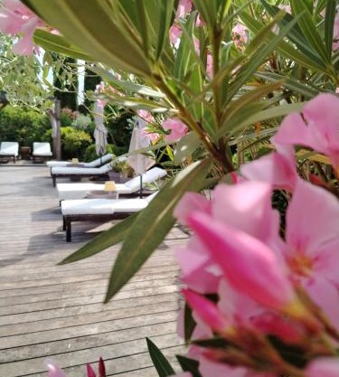 Guesthouse Le Mas de Cotignac