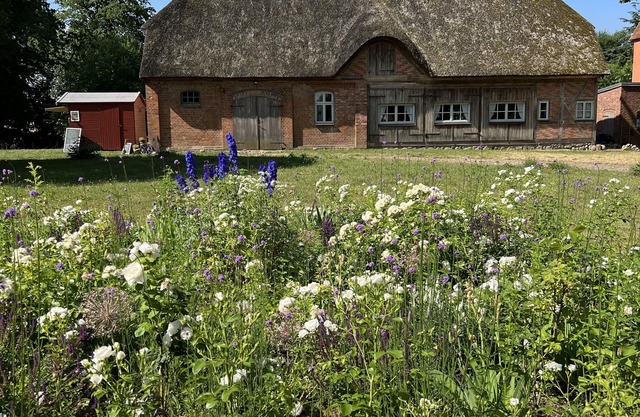 Gutshaus Niendorf Vacation in the thatched coach house for max. 5 persons.