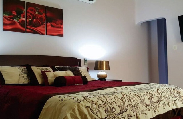 Habitación Individual Deluxe