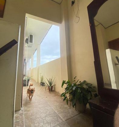 Habitaciones Guadalupe