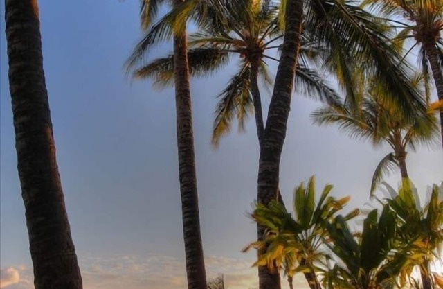 Hale Maluhia - 2 Minutes from the Big Island's Best Beaches