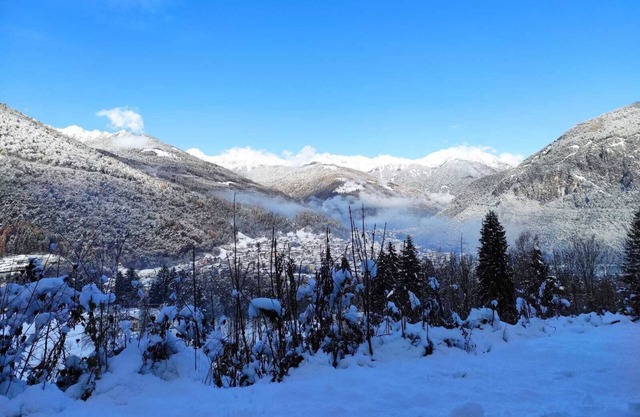 Happy Bolbeno House - CIPAT: 022239-AT-814829