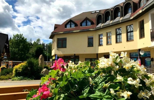 Harrachov Lookout by Interhome