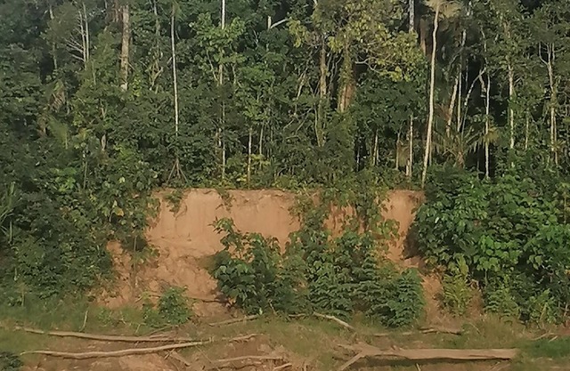 Hermoso Lodge Privado en el Amazonas