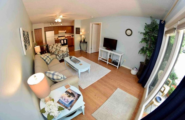 Hidden Gem in Walloon Village