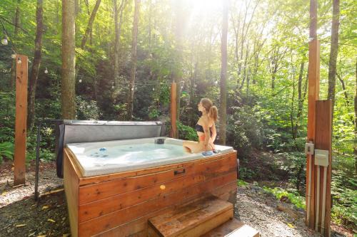 High Top cabin at Cabin Fever in NC