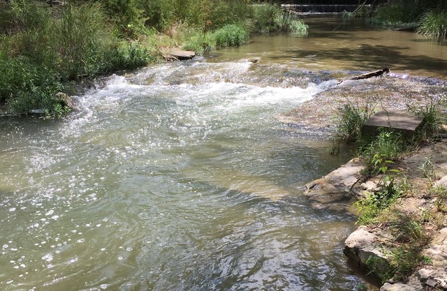 Hill Country Getaway with Guadalupe River access