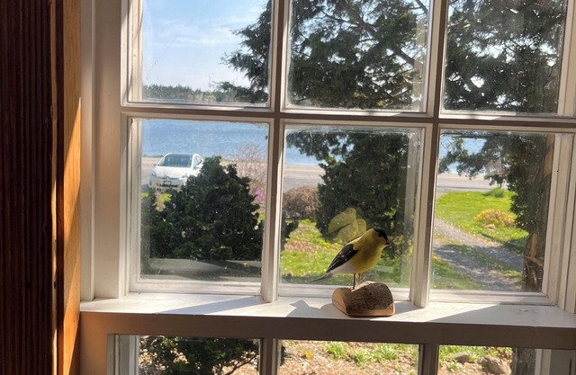 Historic 1785 Cape/46 acres/water views/6 min to Lunenburg and Hirtles Beach