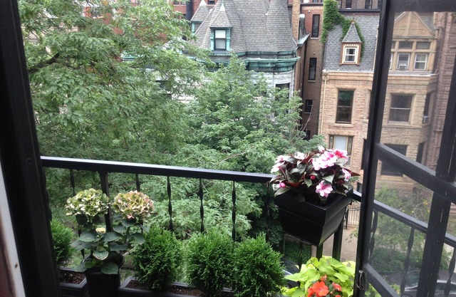 Historic Gold Coast Condo - Half Block From Beach & Major Attractions