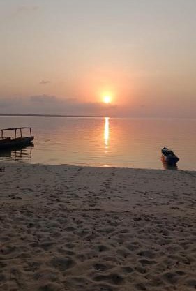 Hoga Island Dive Resort