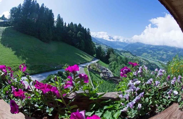 Holiday apartment on a farm with sauna