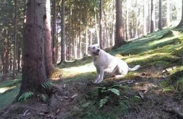 Holiday cottage Mietz