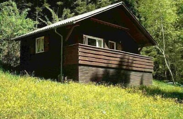 Holiday home Arthurhütte in Hohenweiler