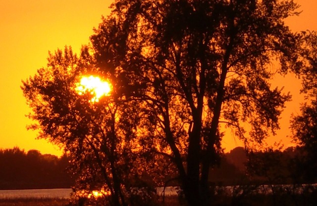 Holiday home on the island Usedom, 2008 refurbished farm, 2200sqm