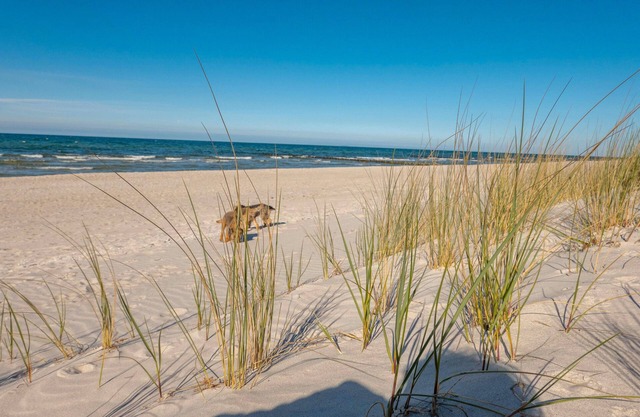 Holiday Home 'Ostsee' with Private Terrace, Private Garden and Wi-Fi