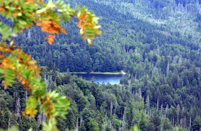 Holiday house Corinna with inviting, light-flooded 4 star holiday apartments