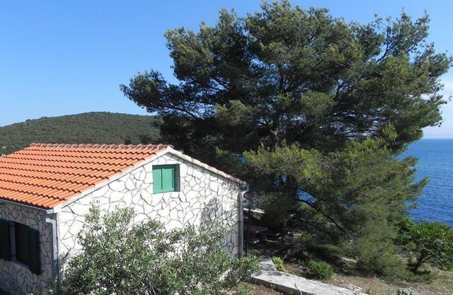 Holiday house Maslinica for 1 - 4 persons with 2 bedrooms - Holiday home
