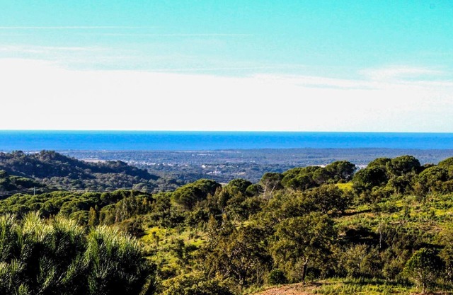 Holiday house Melides for 1 - 14 persons with 5 bedrooms - Farmhouse