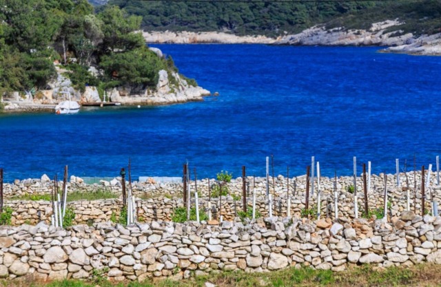 Holiday house Paradiso - quiet island resort : - Cove Parja (Vis), Island Vis, Croatia