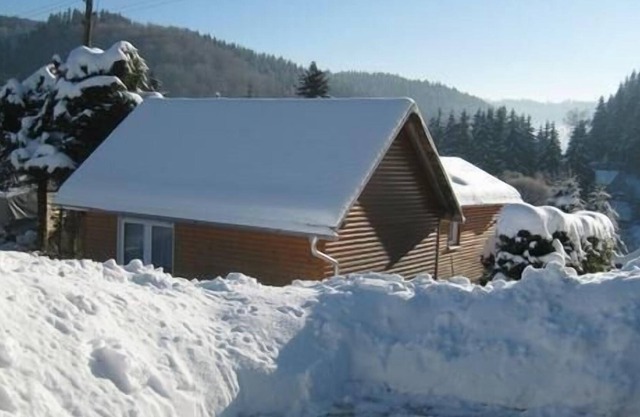 Holiday house Stützerbach for 1 - 4 persons with 1 bedroom - Holiday home