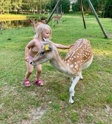 Holiday rancho Zeltrīti