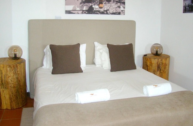 Homerez - Studio for 2 ppl. with shared pool, jacuzzi and terrace at Armamar