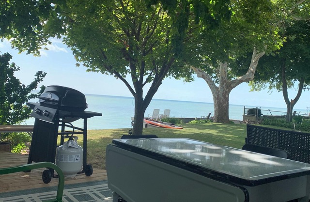 "Hook, Line,& Sinker"- At the edge of Erie; 7 days stay plus 1 chartering freen