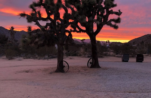 Hot tub, cowboy pool, fire pit, pool table + 1 mi. to JTNP!