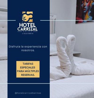 Hotel Carrizal Suites