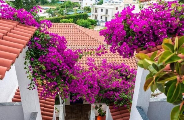Hotel Elena