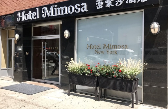 Hotel Mimosa