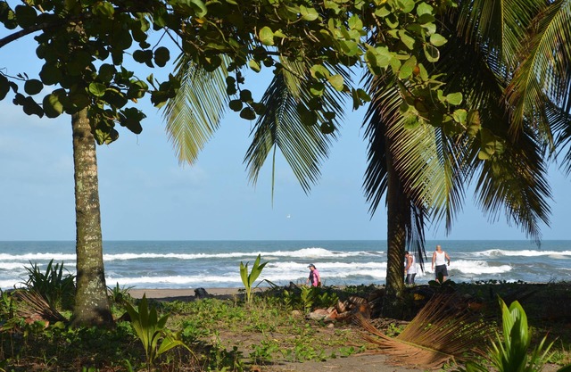 Hotel Pura Natura Beachfront Tortuguero