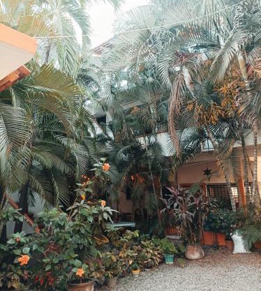 Hotel Villa Tulipanes