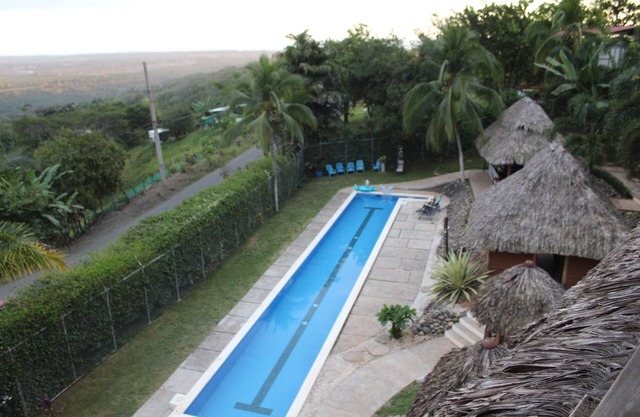 Hotel Vista Bonita - Monkey Room
