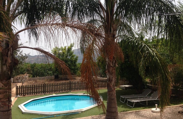 house among orange trees .