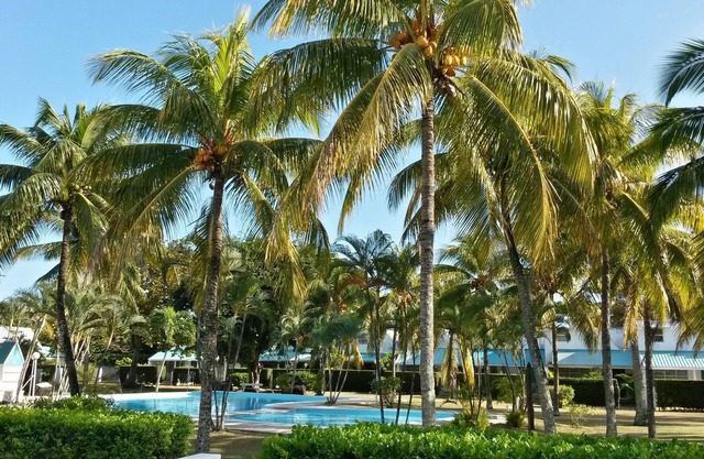 House in tropical haven