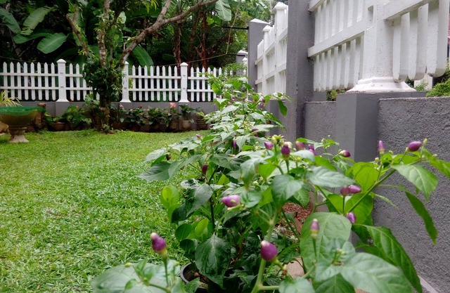 House Of Le Meridien