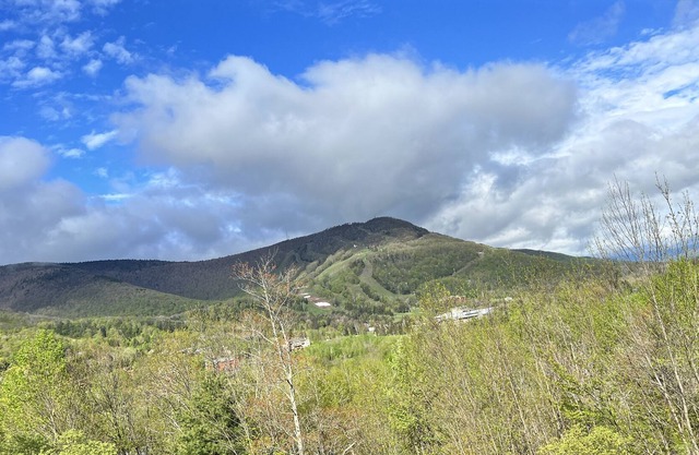 Hunter Mountain View Townhome - 3mins to Ski Slopes