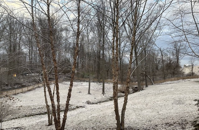 Hunter's Wood - Stunning 2+/2 Villa on 3 acres overlooking Goose Creek