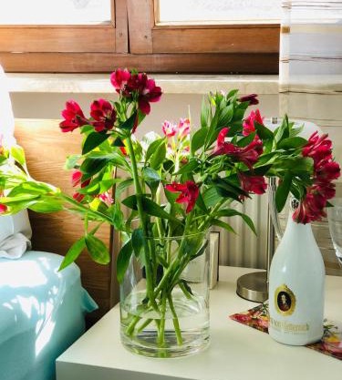 Idyllische Ferienwohnungen in Mossendorf